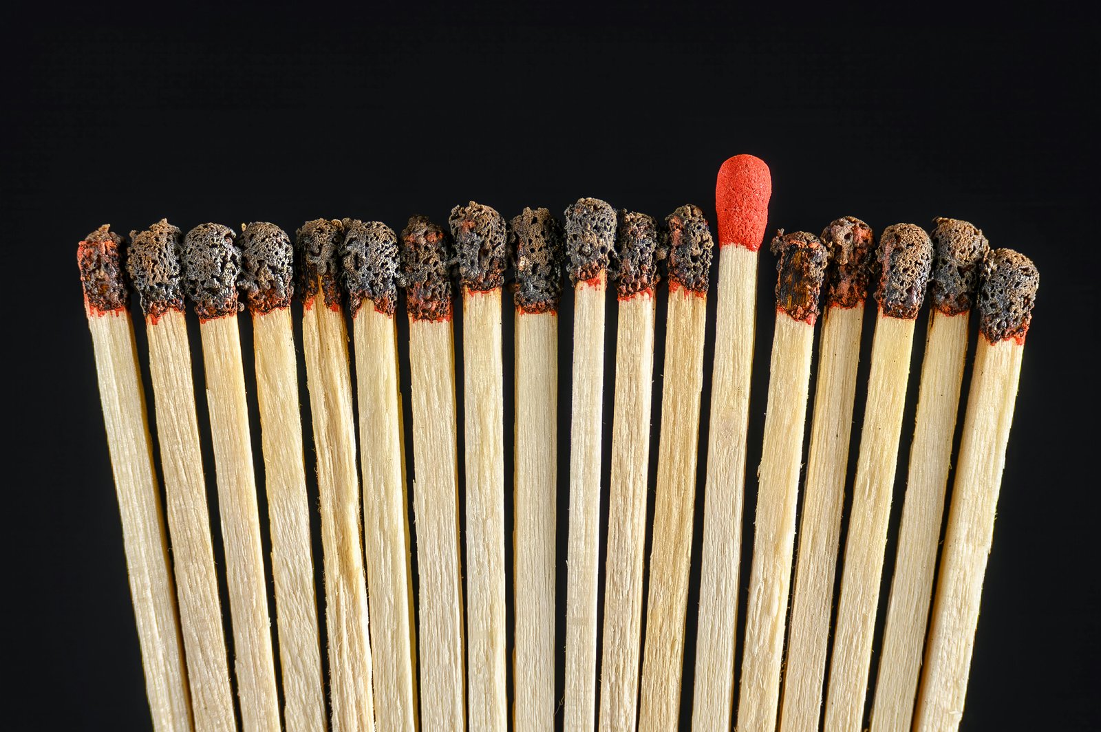 Leadership Discussion